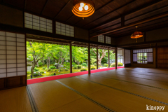 圓光寺 新緑 2