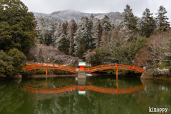 安志稲荷神社 雪景色