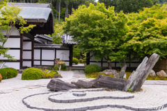 圓光寺 新緑 5