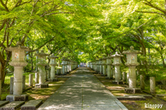 高山寺 新緑 2