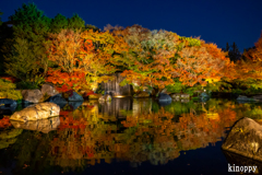 好古園 紅葉 ライトアップ