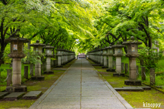 高山寺 新緑