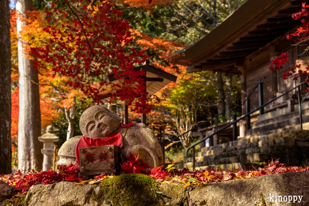 大国寺 紅葉