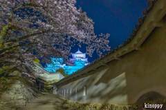 姫路城 夜桜会 3