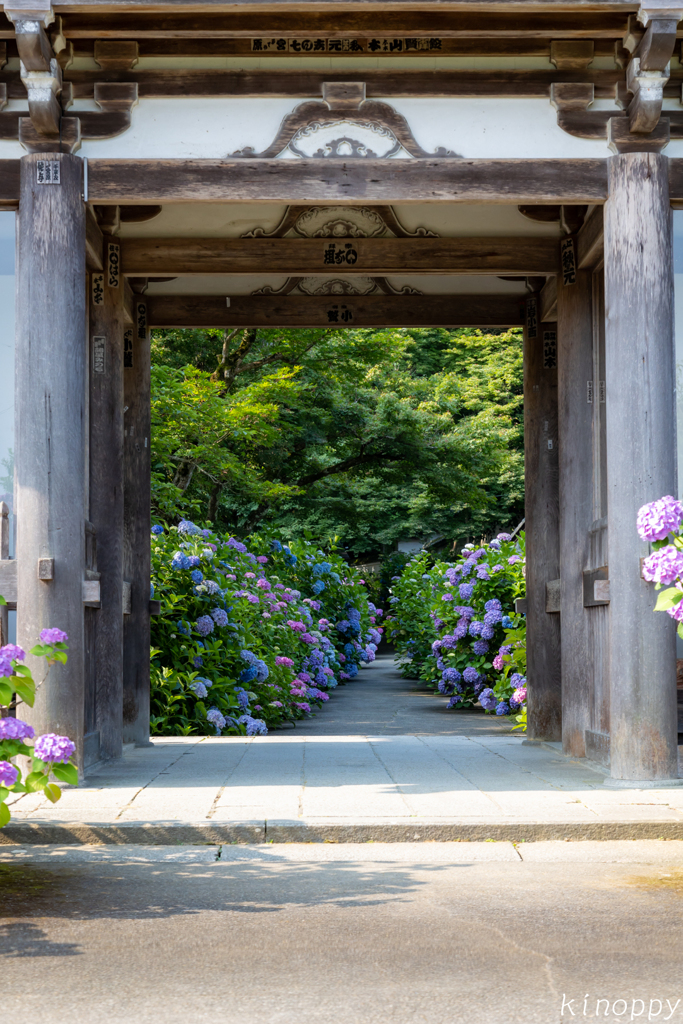 華観音寺 3