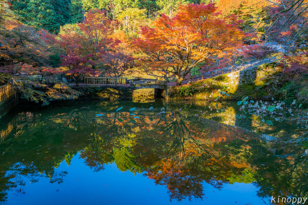 円通寺 紅葉 4