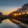 草場川桜並木 夕景