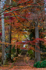 龍穏寺 紅葉 2