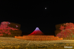 なばなの里 イルミネーション