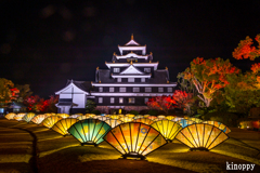 岡山城 烏城灯源郷