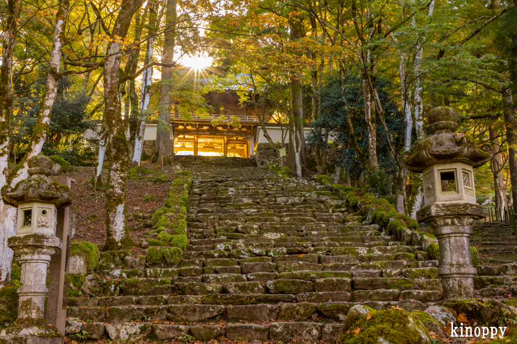 高源寺 紅葉 5