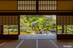 妙満寺 6