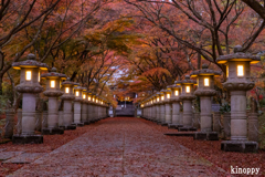 高山寺 紅葉 4