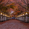 高山寺 紅葉 4