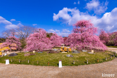 鈴鹿の森庭園