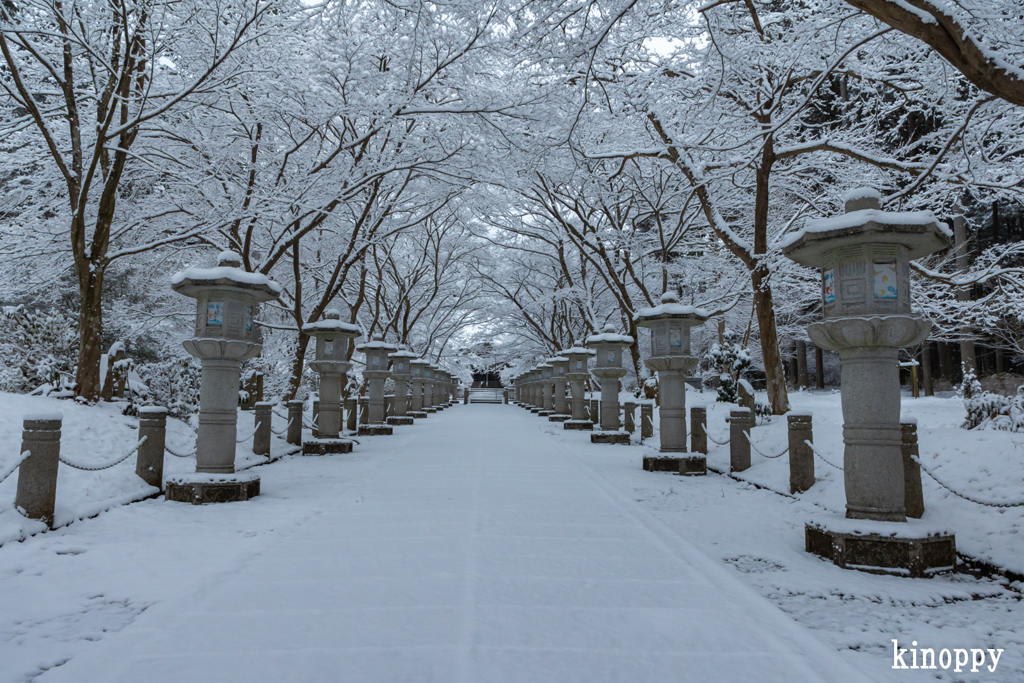 高山寺 雪景色 7