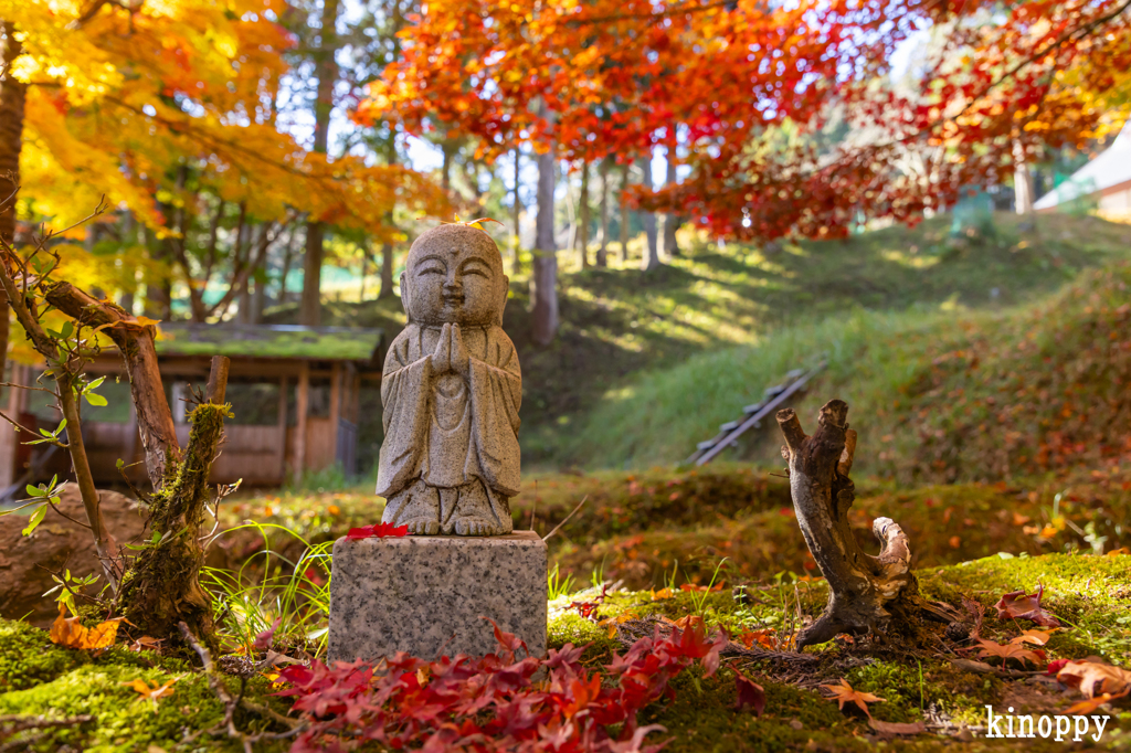 龍穏寺 紅葉 2