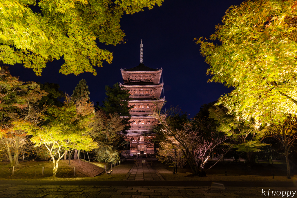 仁和寺 ライトアップ