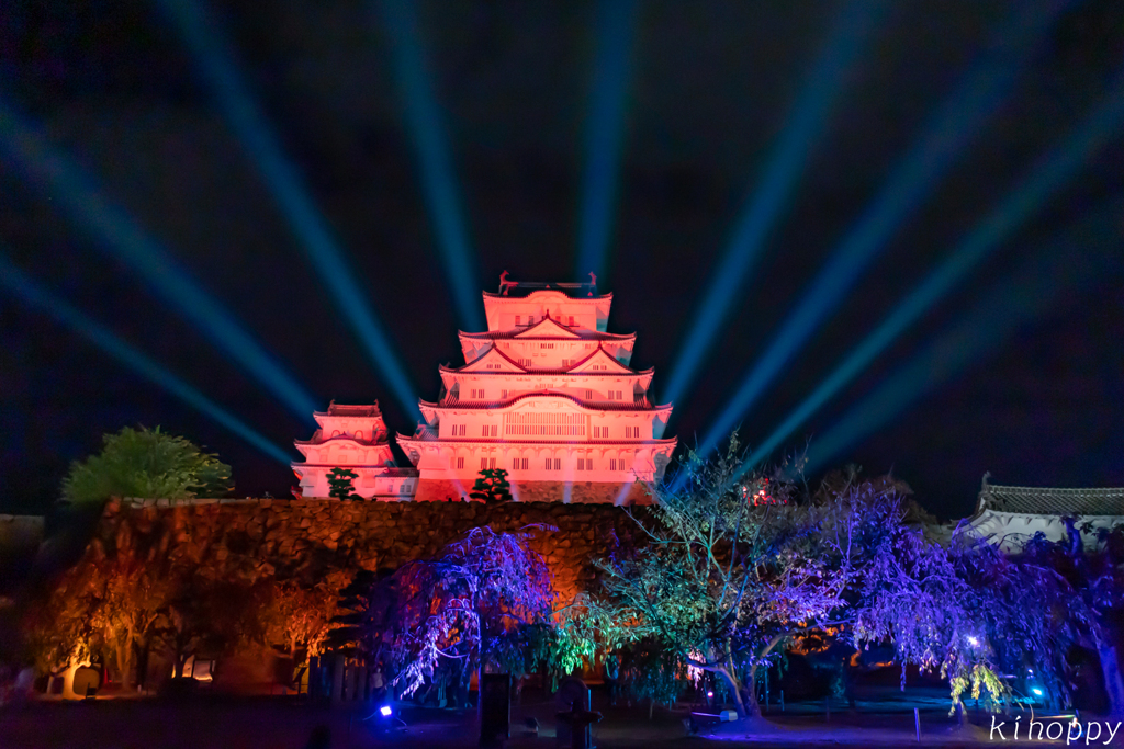 姫路城 シロノヒカリ 白鷺が輝く夜 4