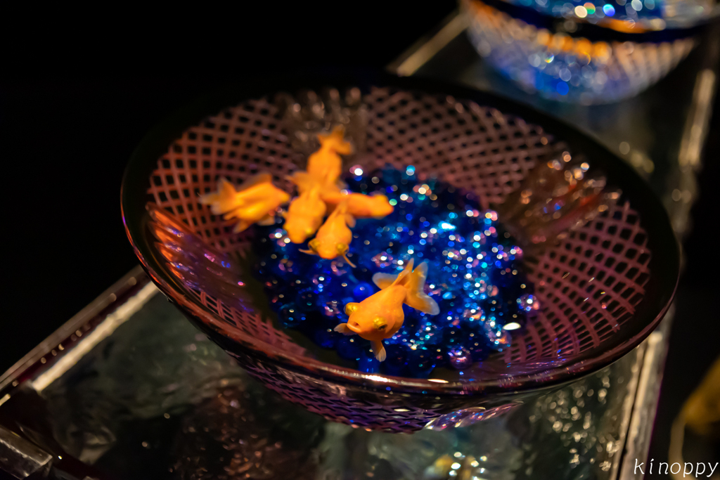 アートアクアリウム 大阪 6