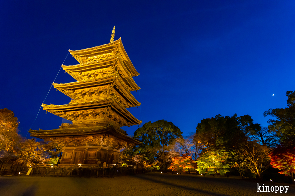 東寺 紅葉 ライトアップ 7