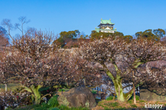 大阪城 梅林 2