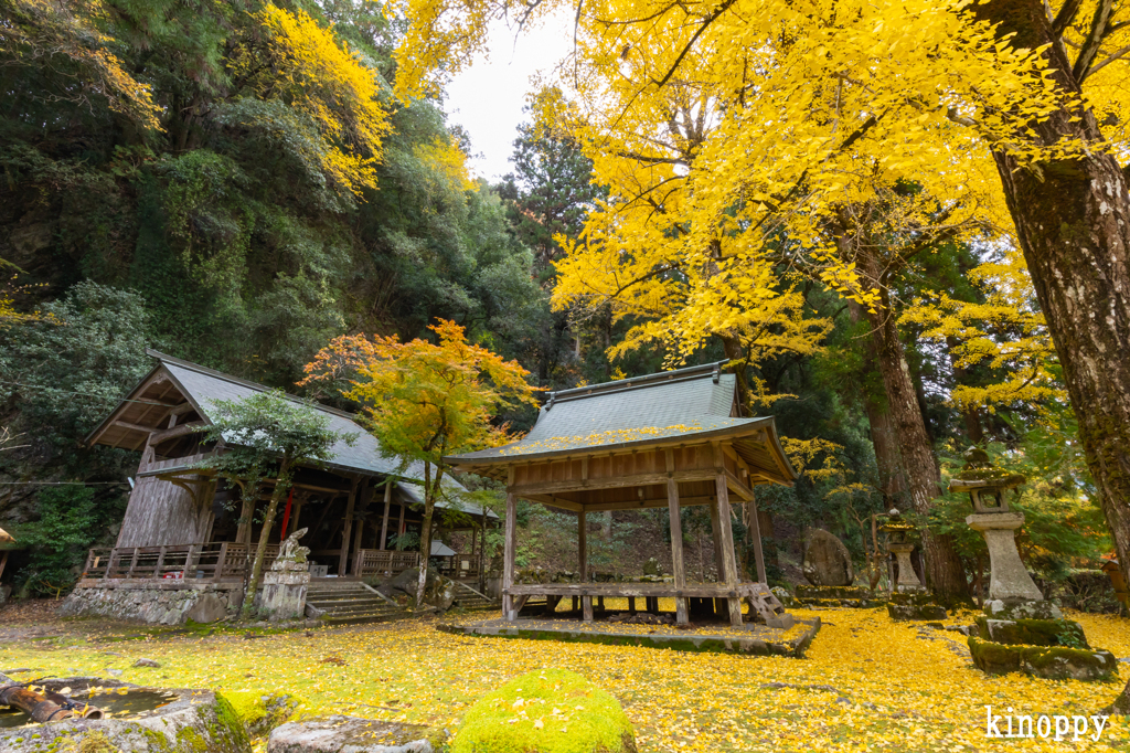 岩戸落葉神社 紅葉 2