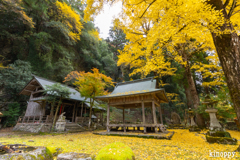 岩戸落葉神社 紅葉 2