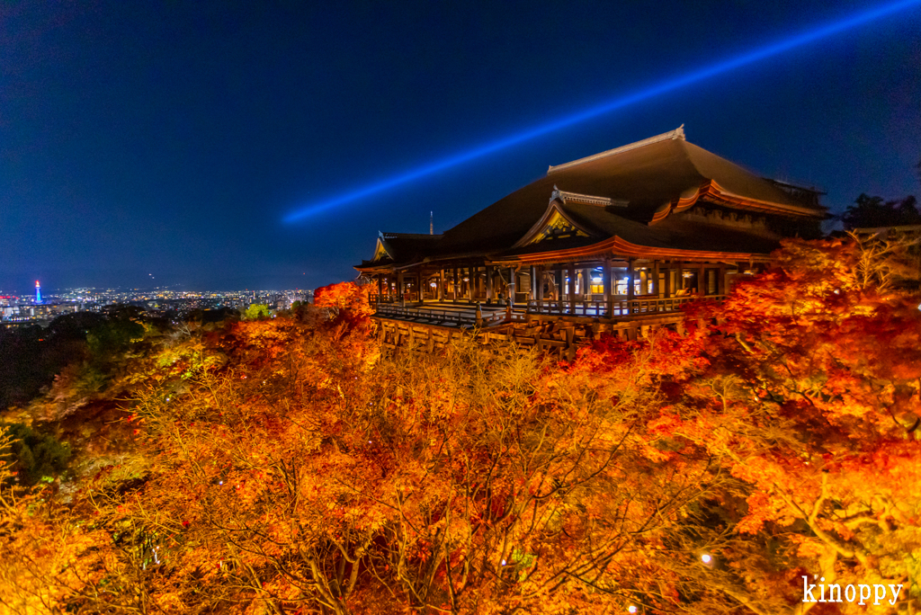 清水寺 紅葉 ライトアップ
