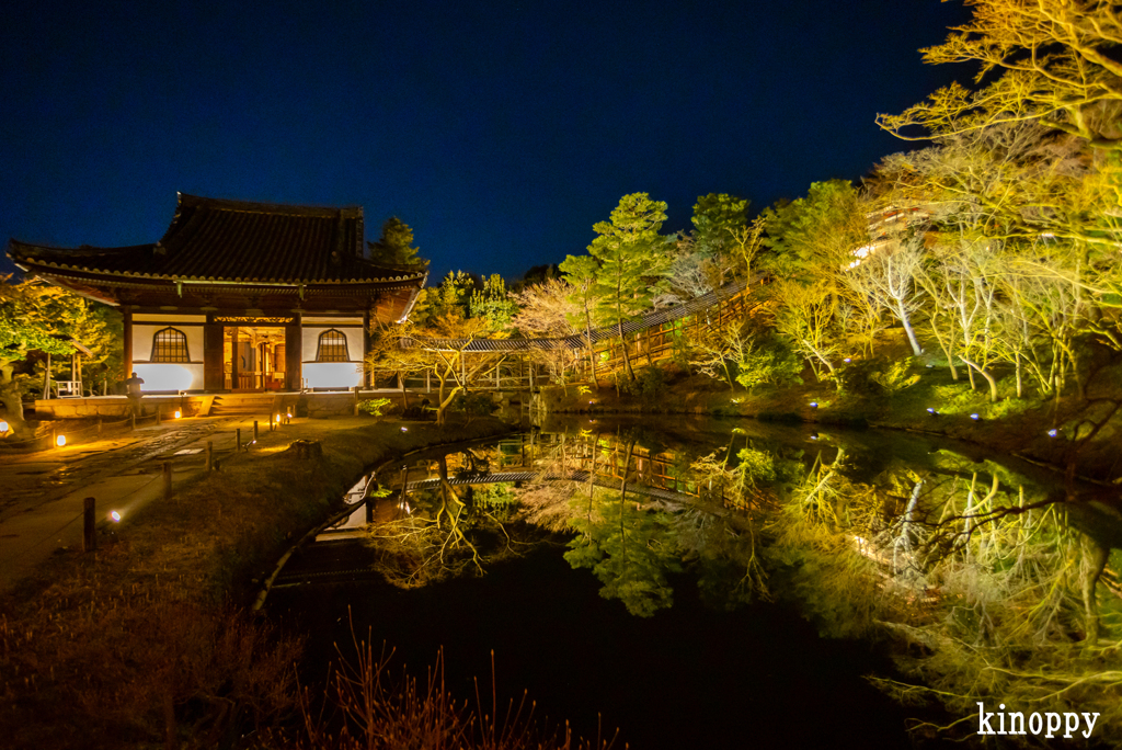 高台寺 ライトアップ 4