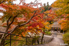 長谷寺 紅葉 5