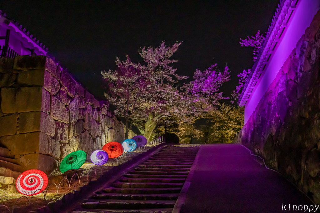 姫路城 和傘幻想 華灯り 3