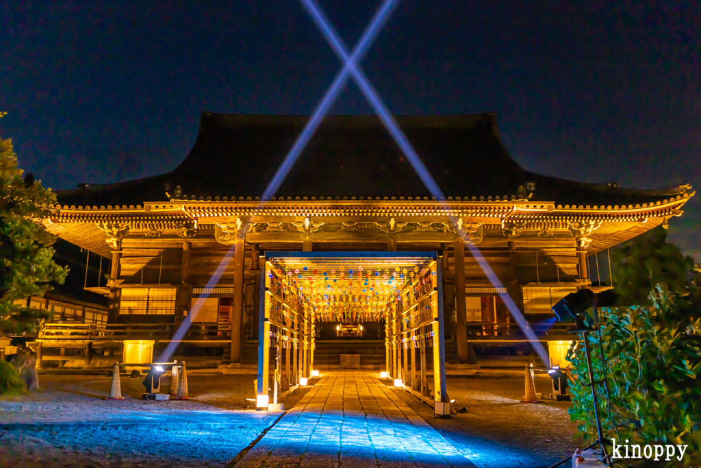 西教寺 風鈴 ライトアップ