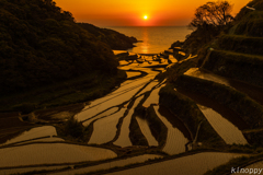 浜野浦 棚田 夕景