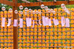 東光院 風鈴まつり 4