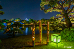 岡山後楽園 夏の幻想庭園