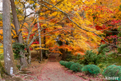 龍穏寺 紅葉