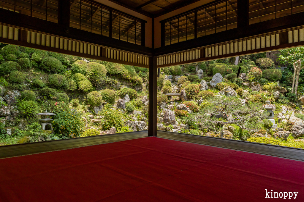 柳谷観音 楊谷寺 5