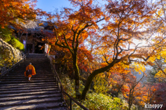 長谷寺 紅葉 2