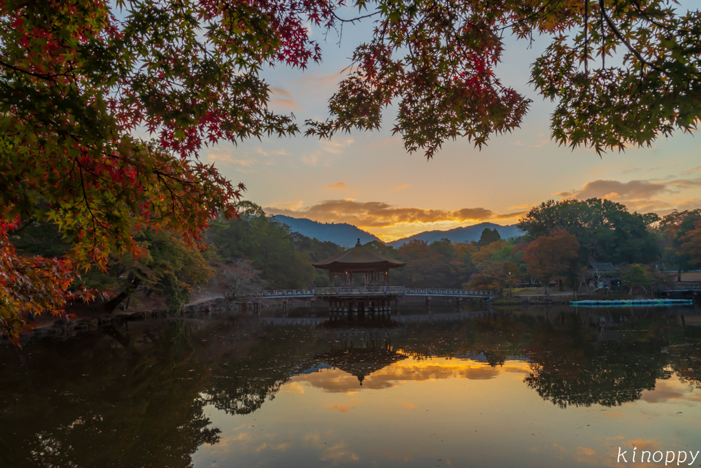 奈良 浮御堂 紅葉