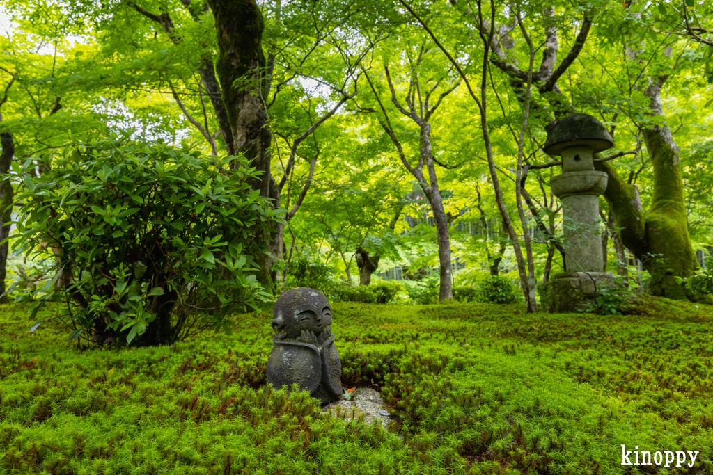 圓光寺 6