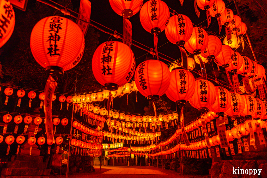 萱野神社 献灯祭 3