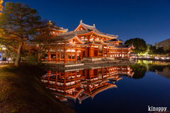 平等院鳳凰堂 ライトアップ 5