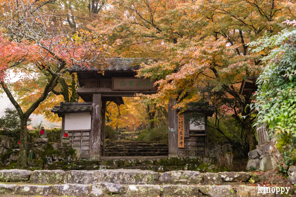 高源寺 紅葉 5