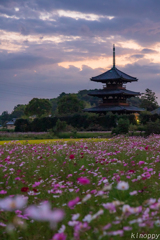 法起寺 夕景 4