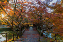 円通寺 紅葉 2