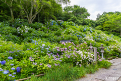 華觀音寺 4