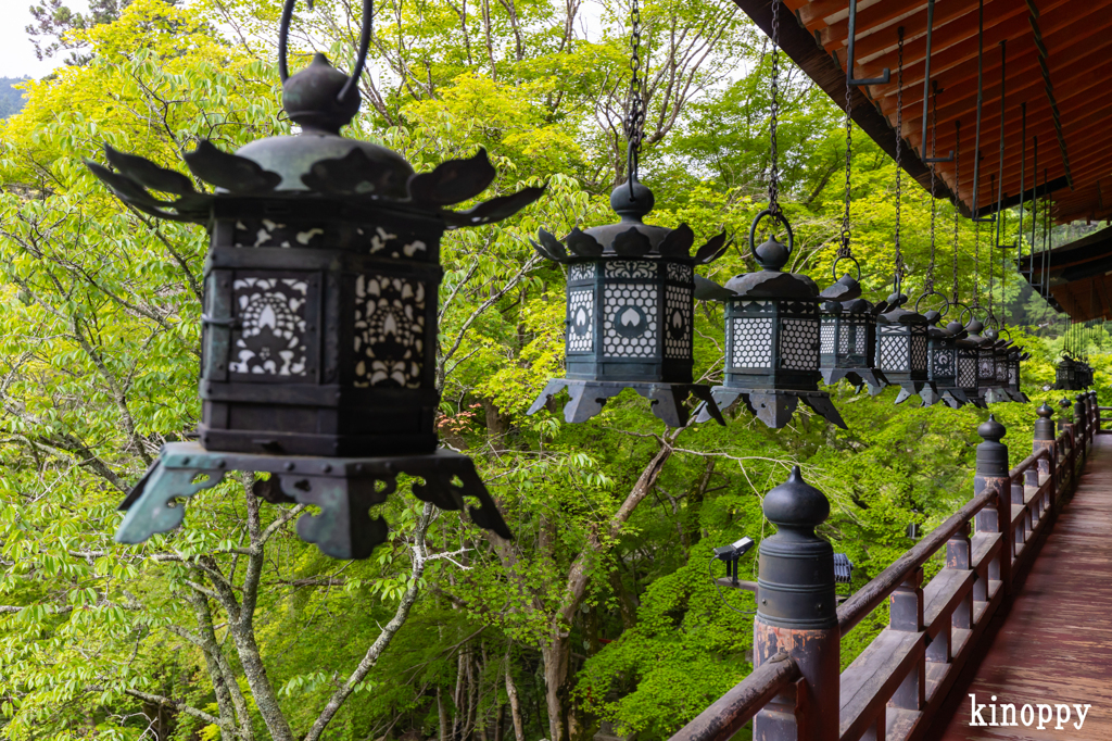 談山神社 新緑 4