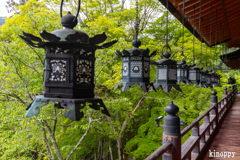 談山神社 新緑 4