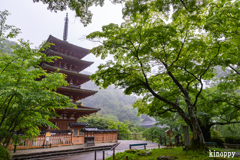 長谷寺 あぢさゐ回廊 4